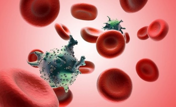 Các tế bào máu hoạt động bất thường